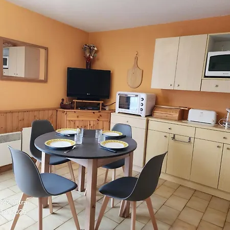 Confortable A 200m Des Pistes Avec Balcon Et Tv - Animaux Interdits - Fr-1-771-73 Apartman